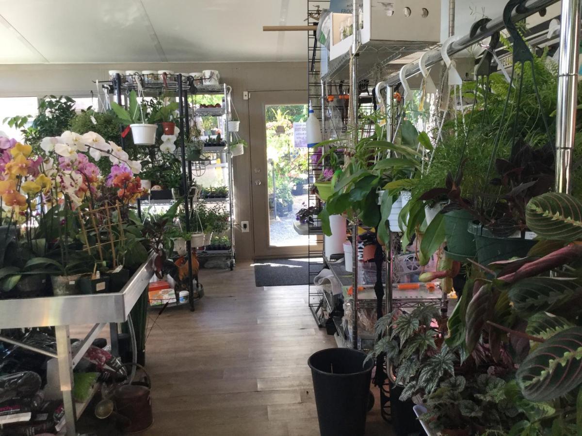 布里行政花园套房公寓 彼得伯勒 外观 照片